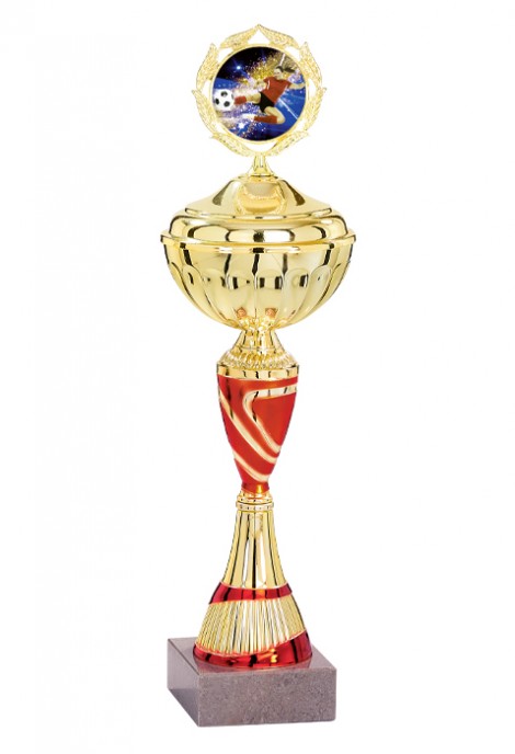 Coupe Personnalisée Métal : 1621W-C