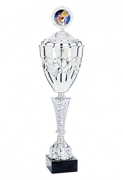 Coupe Personnalisée Métal : 4461W-C