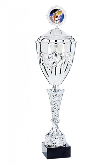 Coupe Personnalisée Métal : 4461W-C