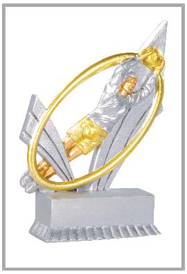 Trophée Football 31415
