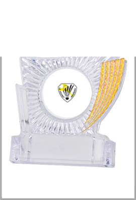 Trophée Personnalisé Votre Logo 133-51-LO
