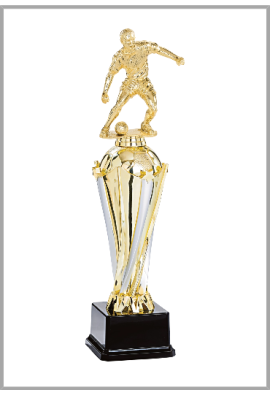 Trophée Football 83-41