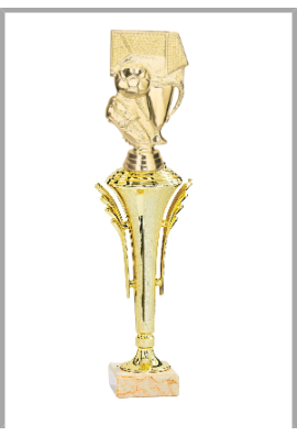 Trophée Personnalisé Figurine 143-71-D