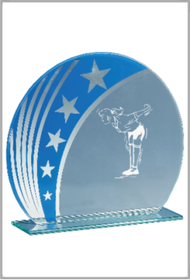 Trophée Verre Personnalisé 163-11DE-CLI