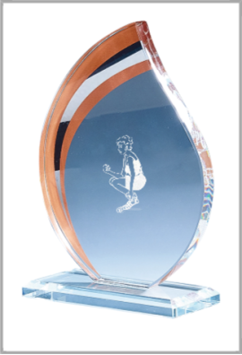 Trophée Verre Personnalisé 170-01-CLI