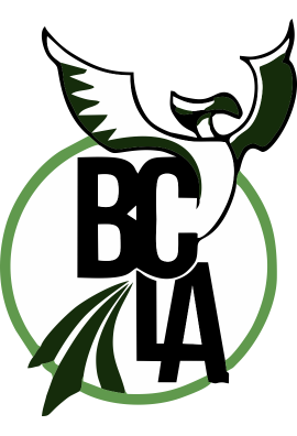 logo_4_348697