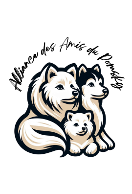 logo_4_348767