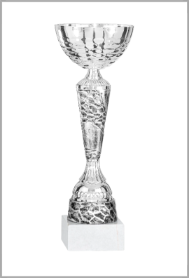 Coupe Économique Métal : 2051
