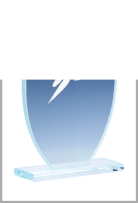 Trophée Verre Personnalisé 169-31-CLI