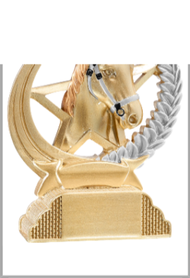 Trophée Équitation 31307