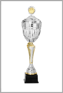 Coupe Personnalisée Métal : 4212DEW-C