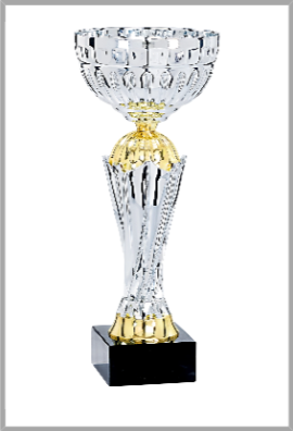 Coupe Classique Métal : 4851