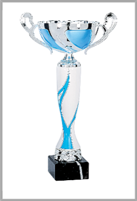 Coupe Classique Céramique : 5391