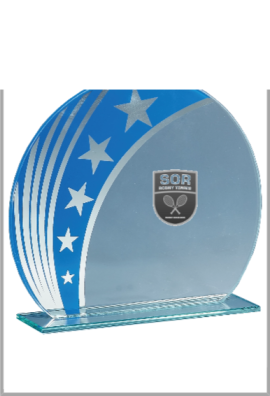 Trophée Verre Personnalisé 163-11DE-LO
