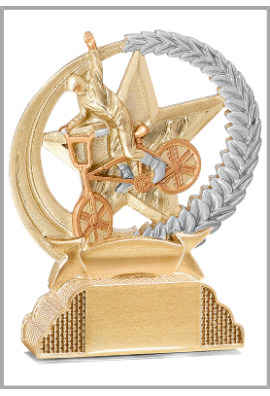 Trophée BMX 31334