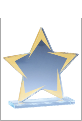 Trophée Verre Personnalisé 173-01-LO