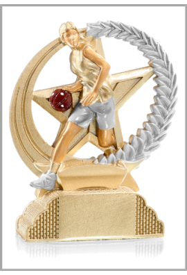Trophée Basket 31303