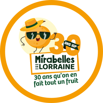 logo_4_351249