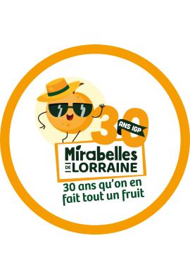 logo_4_351258