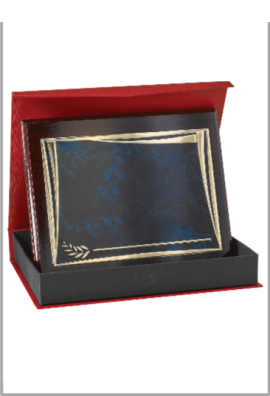 Plaque de distinction : 186-51-LO