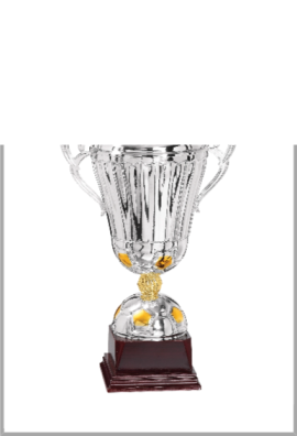 Trophée Métal Football 87-11