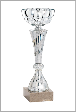 Coupe Économique Métal : 2031
