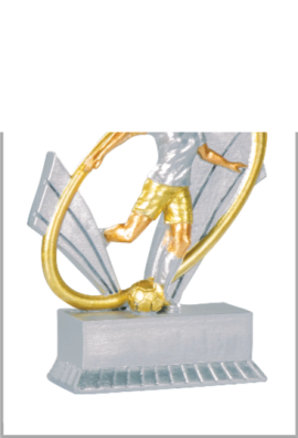 Trophée Football 31413