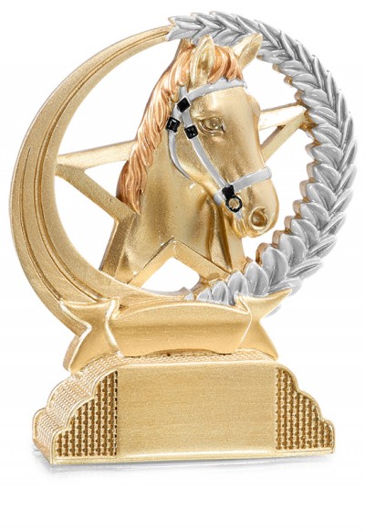 Trophée Equitation 31307
