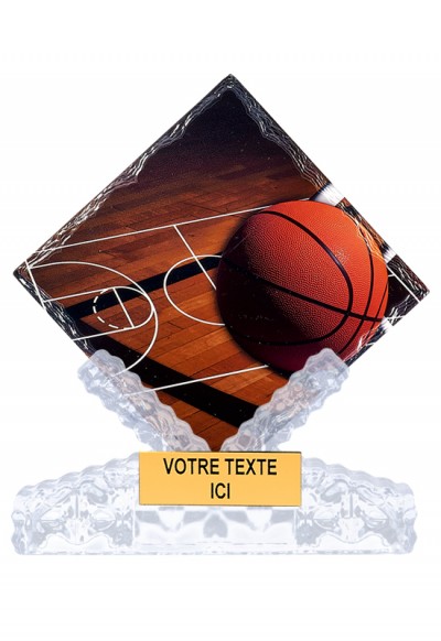 Trophée Basket 46101