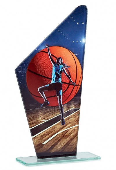 Trophée Basket 66101