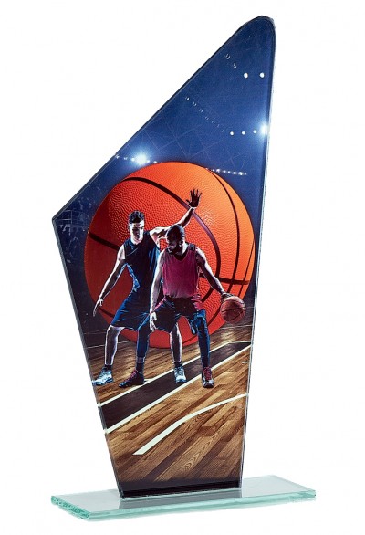 Trophée Basket 66102