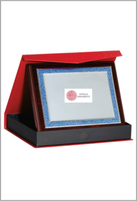 Plaque de distinction 189-65-LO