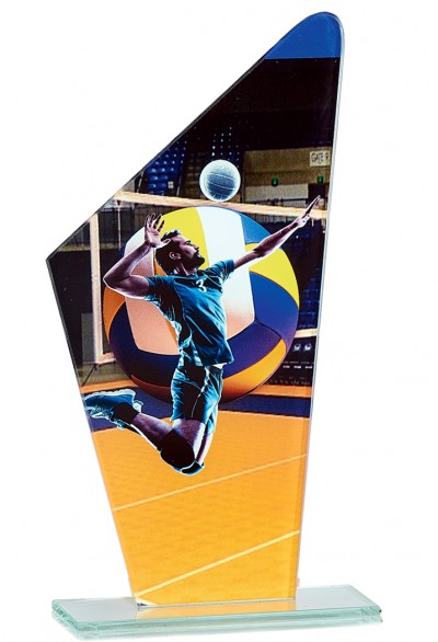 Trophée Volley-ball 66119