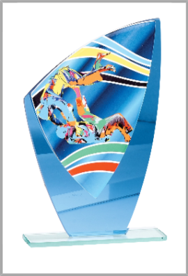 Trophée Verre Judo 66208