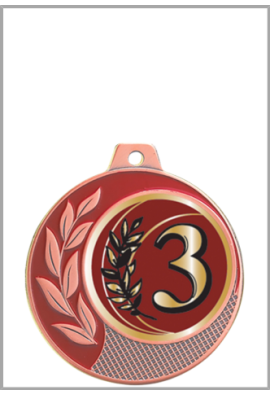 Médaille Ø 70 mm Classement  - CZ28
