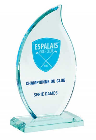 Trophée Verre Personnalisé 156-71-SU