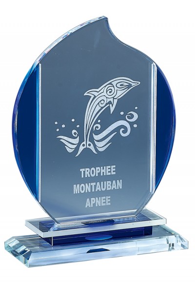 Trophée Verre Personnalisé 171-61-CLI