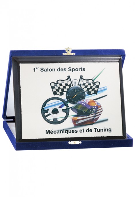 Plaque de distinction 191-81-SU