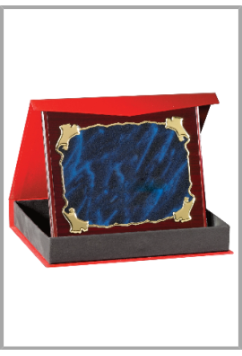 Plaque de distinction : 187-55-LO