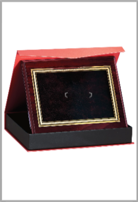 Plaque de distinction : 187-31-LO