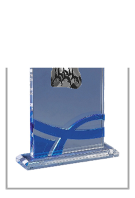 Trophée Acryglass Personnalisé 175-11-LO