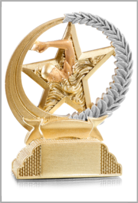 Trophée Natation 31324