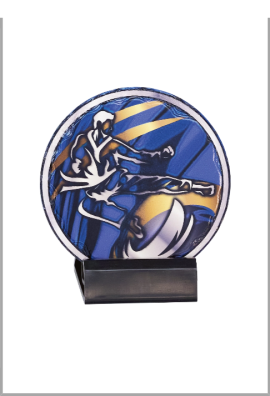 Trophée Disco Céramique 48112 : Karaté