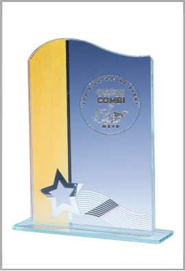 Trophée Verre Personnalisé 161-51-LO