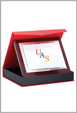 Plaque de distinction 189-81-LO