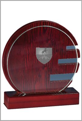 Trophée Verre & Bois Personnalisé 163-11-LO