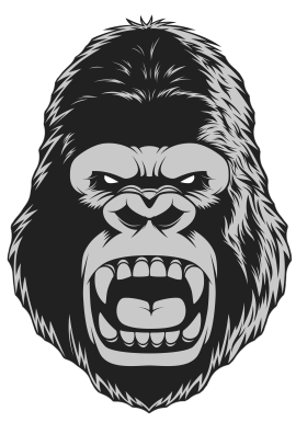 logo_4_354003