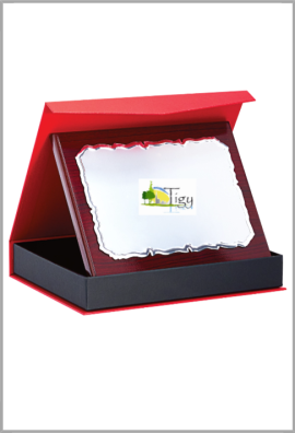 Plaque de distinction 189-01-LO