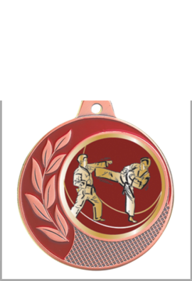 Médaille Ø 70 mm Karaté  - CZ17