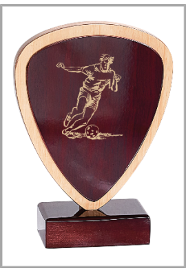 Trophée Bois Personnalisé 164-11-CLI